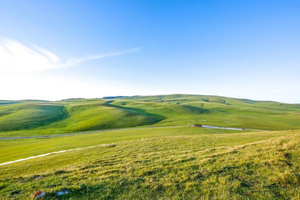 Ordos Grassland